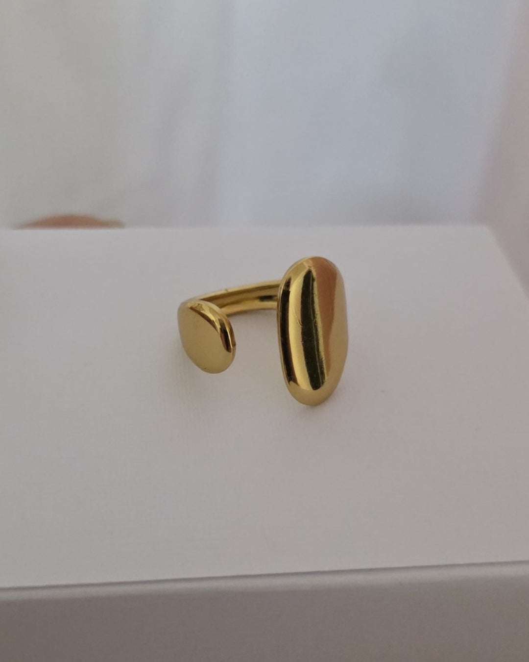 Anillo Brillo (GBR-YO3439)