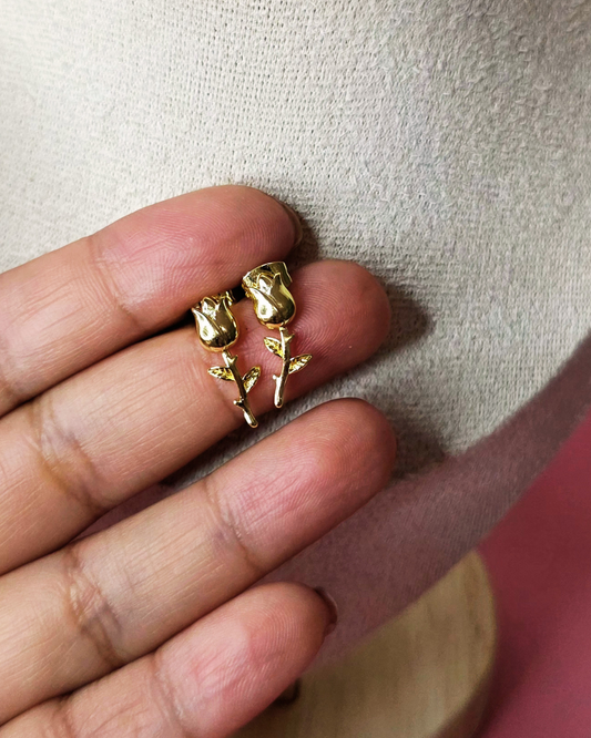 Arete Bella
