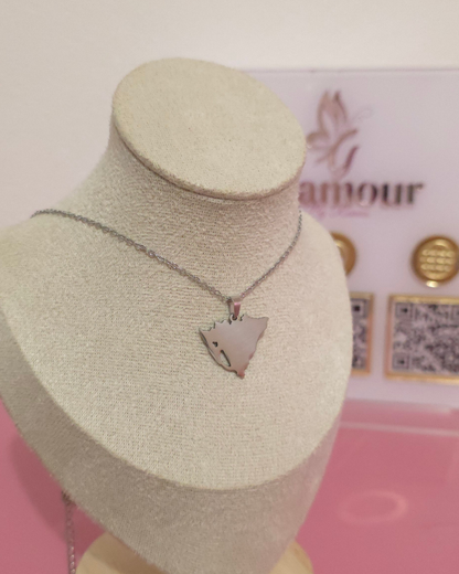 Collar Mi patria Plateado (GBR-NEC-LAK-PLA)