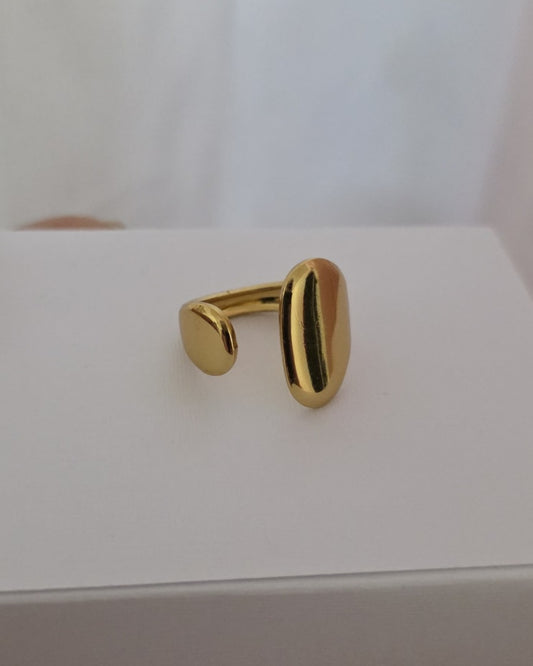 Anillo Brillo (GBR-YO3439)